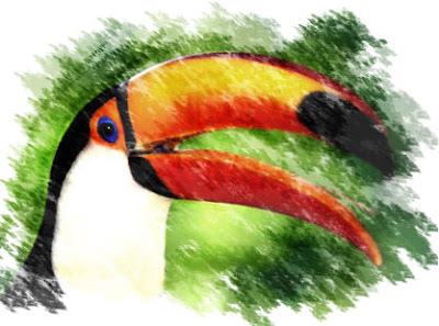 tucan_2.jpg