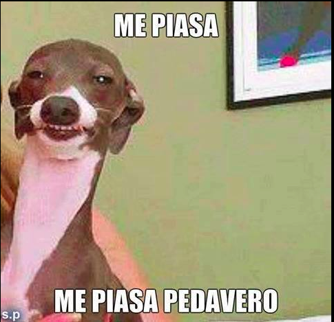 me+piasa.png