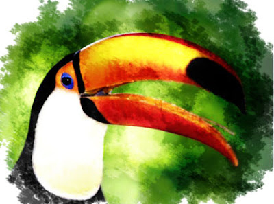 tucan_final4.jpg
