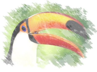 tucan_1.jpg