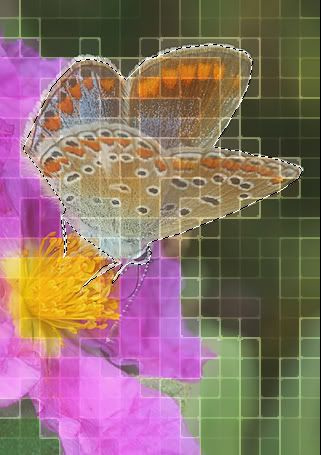 mosaico_5.jpg
