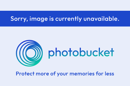 animated-loading.gif