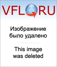 7604809.jpg