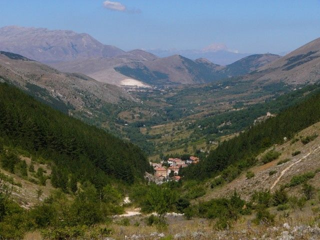 image1.jpg