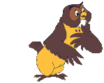 gufo-immagine-animata-0064.gif