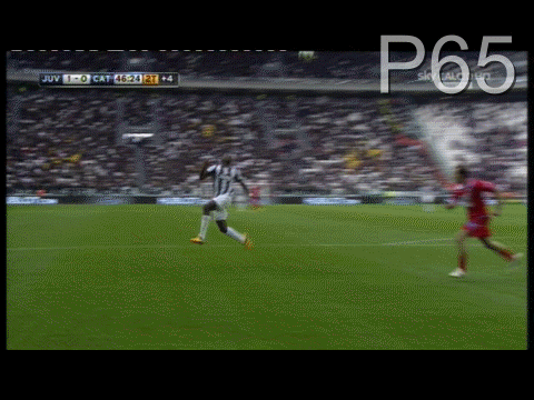 pogbajuvcat.GIF