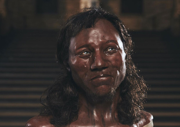 La ricostruzione del volto dell'uomo primitivo di Cheddar (fonte: University College London) © Ansa