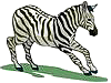 zebra01.gif