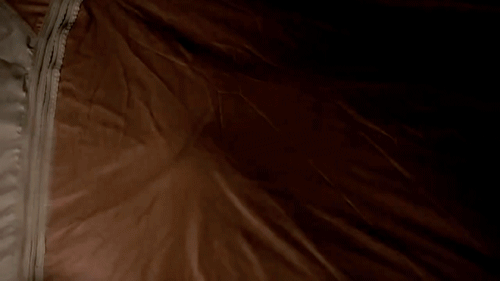 tumblr_njwh7nqkH41slg1yso1_500.gif