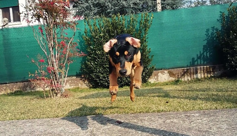 tumblr_p422ytc4CS1sg511co1_1280.jpg&key=