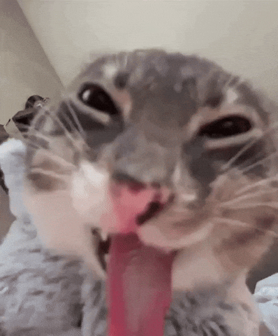 69176-hehehe.gif
