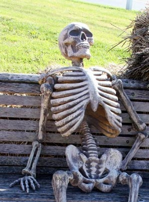Skeleton-on-bench-meme-pdwk2.jpg