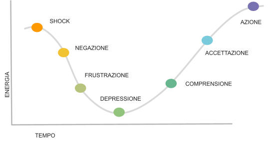 ARTICOLO.png