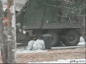 Frustrated-GIF-OPT.gif
