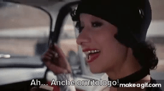 9sVJk_.gif