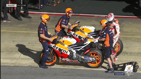 141461bf9e967a55842fdce45336f6a9.gif