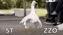 d2b4151d247a4ac3aea5cbe32491206e.gif