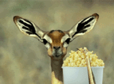 da0101a363cb902dc26be54d2dda8061.gif