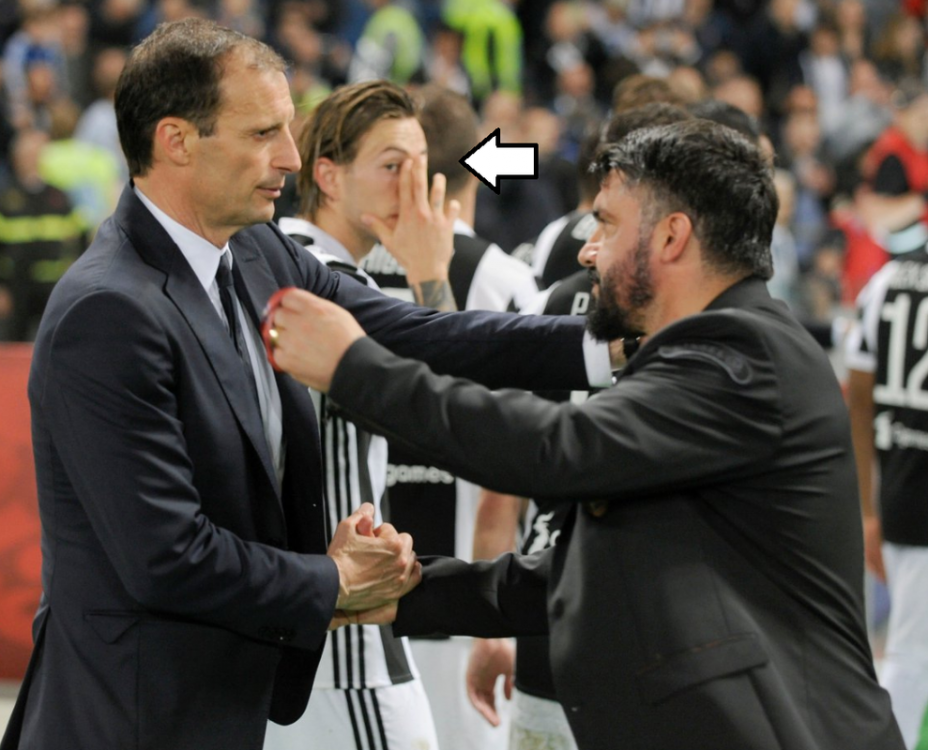 allegrigattusoberna.png