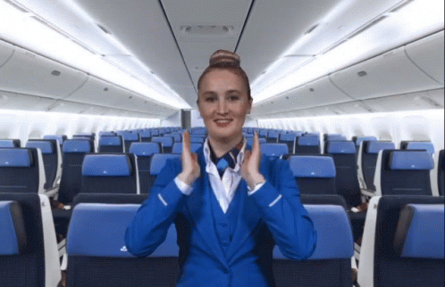 safeairplane.gif