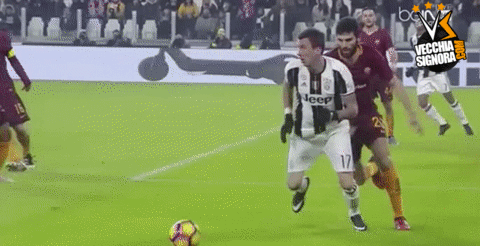 giphy.gif