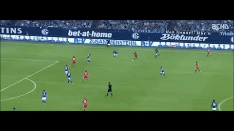 giphy.gif