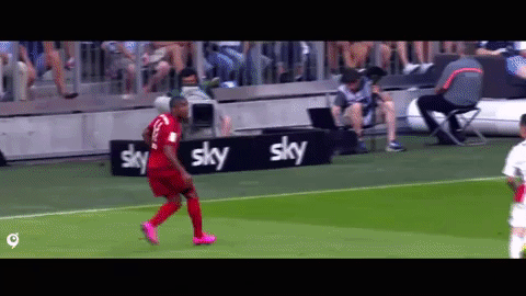 giphy.gif