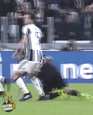 giphy.gif