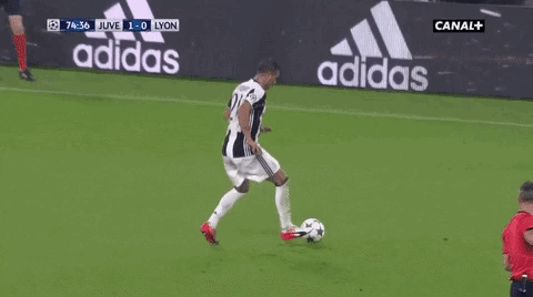 giphy.gif