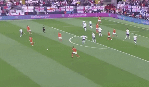 Animated GIF - Find & Share on GIPHY