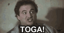 animal-house-toga.gif