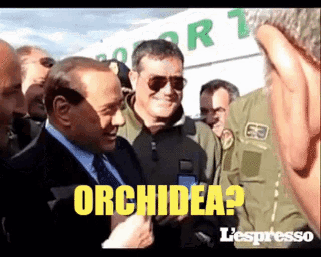 Berlusconi Orchidea GIF - Berlusconi Orchidea Orcodio - Discover & Share  GIFs