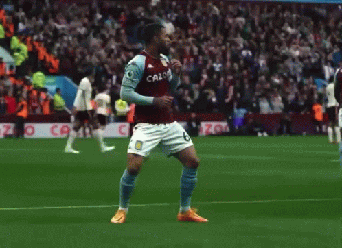 avfc-party.gif