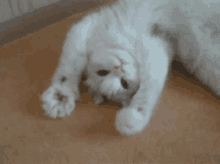 hiya-good.gif