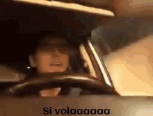 si-vola.gif