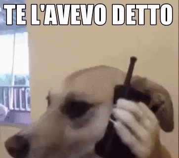 te-lavevo-detto-ho-ragione-io.gif