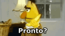 bert-muppets.gif