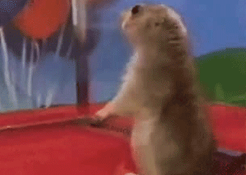 tumblr_m8z45de1ZQ1qe0rut.gif