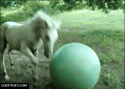 source.gif
