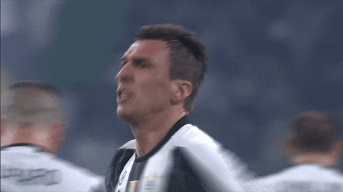 giphy.gif