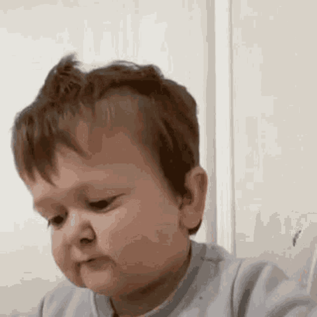 hasbulla-thraekngif.gif