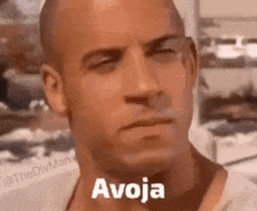thedivman-vindiesel.gif