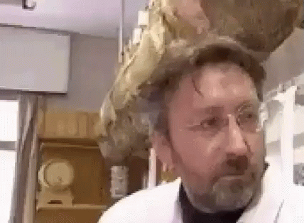ma-io-che-ne-so-ma-io-che-ne-so-meme.gif