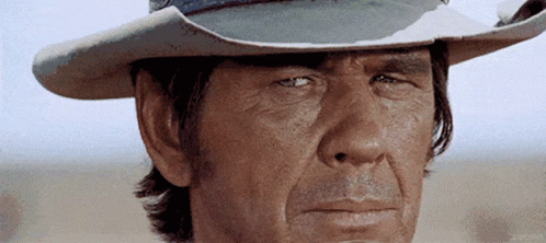 gif.gif