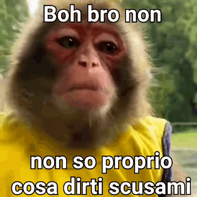 scusa.gif