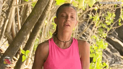 isola-isola-dei-famosi.gif