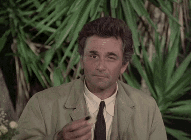 columbo-cookie-eat.gif