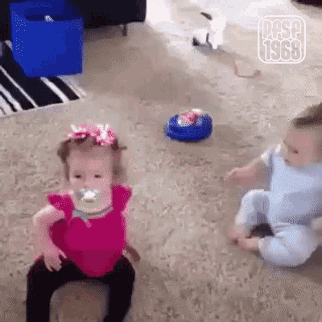 pfsf1968-babies.gif