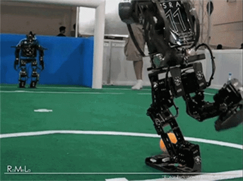 robots-soccer.gif