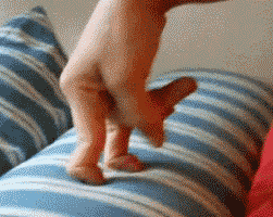 hand-sex.gif